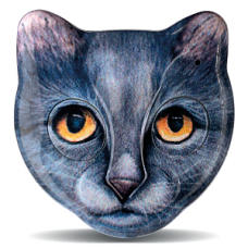 RADIOCOMANDO UNIVERSALE 2 CANALI ZOOLOCK CAT AVATAR